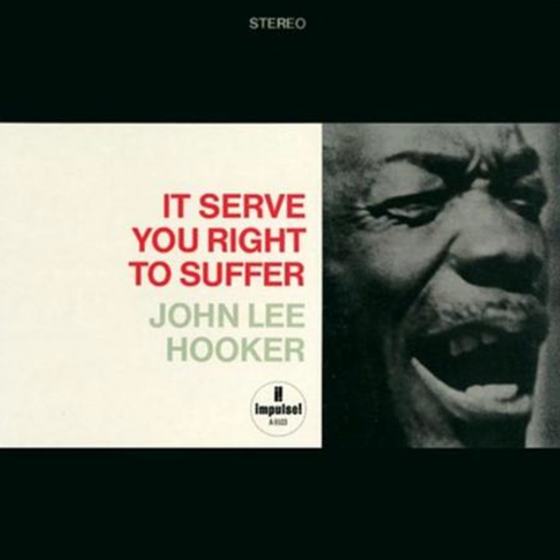 John Lee Hooker - It Serve You Right To Suffer - Audiophile