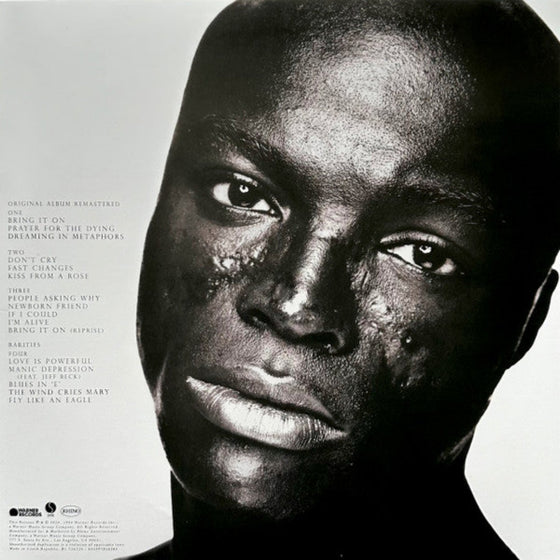 Seal - Sea