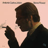 Antonio Carlos Jobim - Stone Flower (ORG Music) - AudioSoundMusic