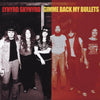 Lynyrd Skynyrd - Gimme Back My Bullets (2LP, 45RPM, 200g) - AudioSoundMusic