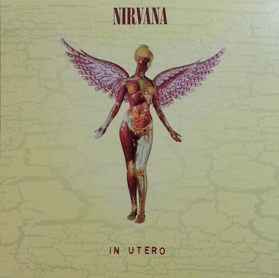 Nirvana - In Utero - AudioSoundMusic