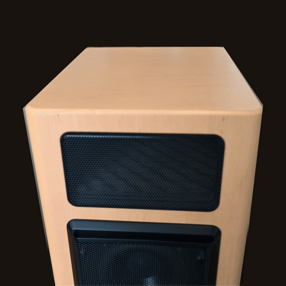 Pre-owned Speakers T+A Criterion TB140 - AudioSoundMusic