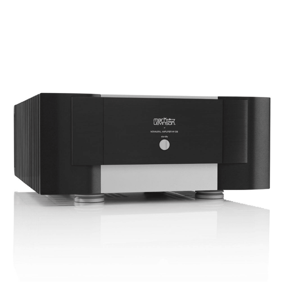 SOLID STATE POWER AMPLIFIER MARK LEVINSON N° 536 MONO (two units) - AudioSoundMusic