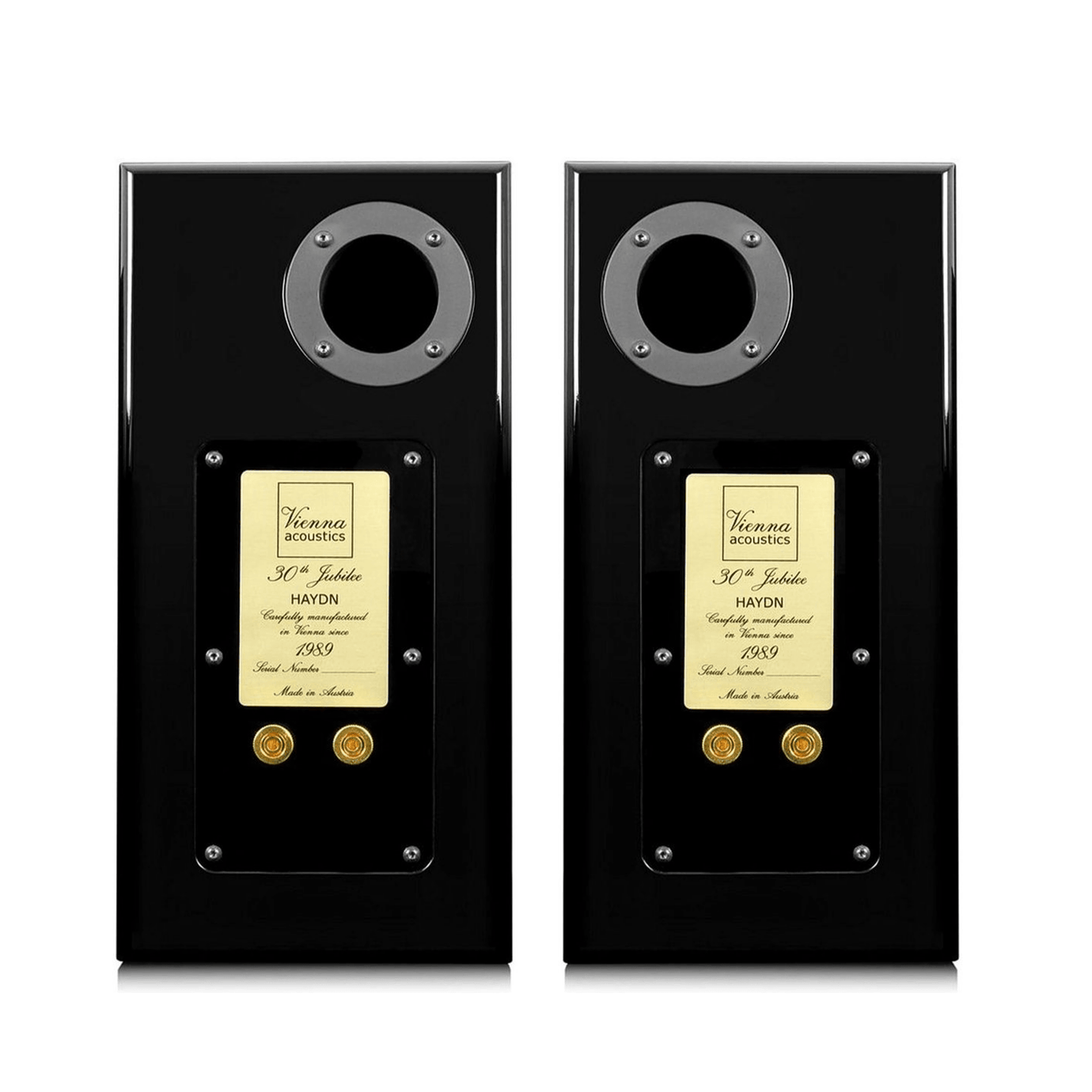 Stand Speakers Vienna Acoustics Haydn Jubilee Black