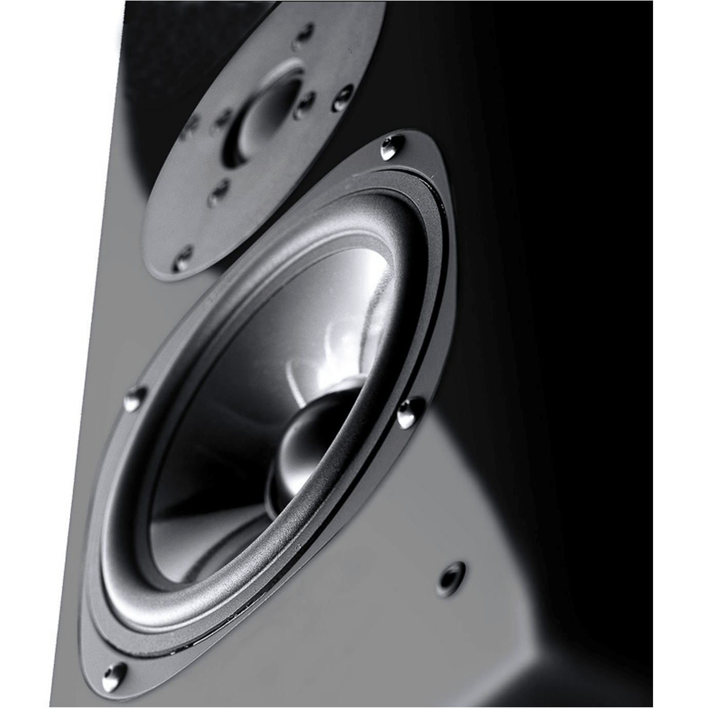 Stand Speakers Vienna Acoustics Haydn Jubilee Black