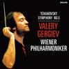 Tchaikovsky - Symphony No. 5 - Valery Gergiev - AudioSoundMusic