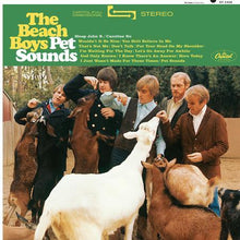  The Beach Boys - Pet Sounds (1LP, Mono, 33RPM, 200g) - AudioSoundMusic