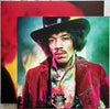 The Jimi Hendrix Experience - Electric Ladyland (2LP) - AudioSoundMusic