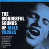 The Wonderful Sounds Of Male Vocals (2LP) - AudioSoundMusic