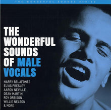  The Wonderful Sounds Of Male Vocals (2LP) - AudioSoundMusic