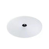 TURNTABLE PLATER - PRO-JECT GLASS PLATER FOR TURNTABLE T1 - AudioSoundMusic