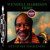 Wendell Harrison Tribe - Get Up Off Your Knees (2LP) - AudioSoundMusic